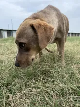 Billy’s side eye 