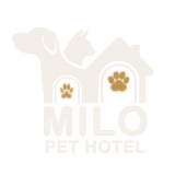 Milo Pet Hotel